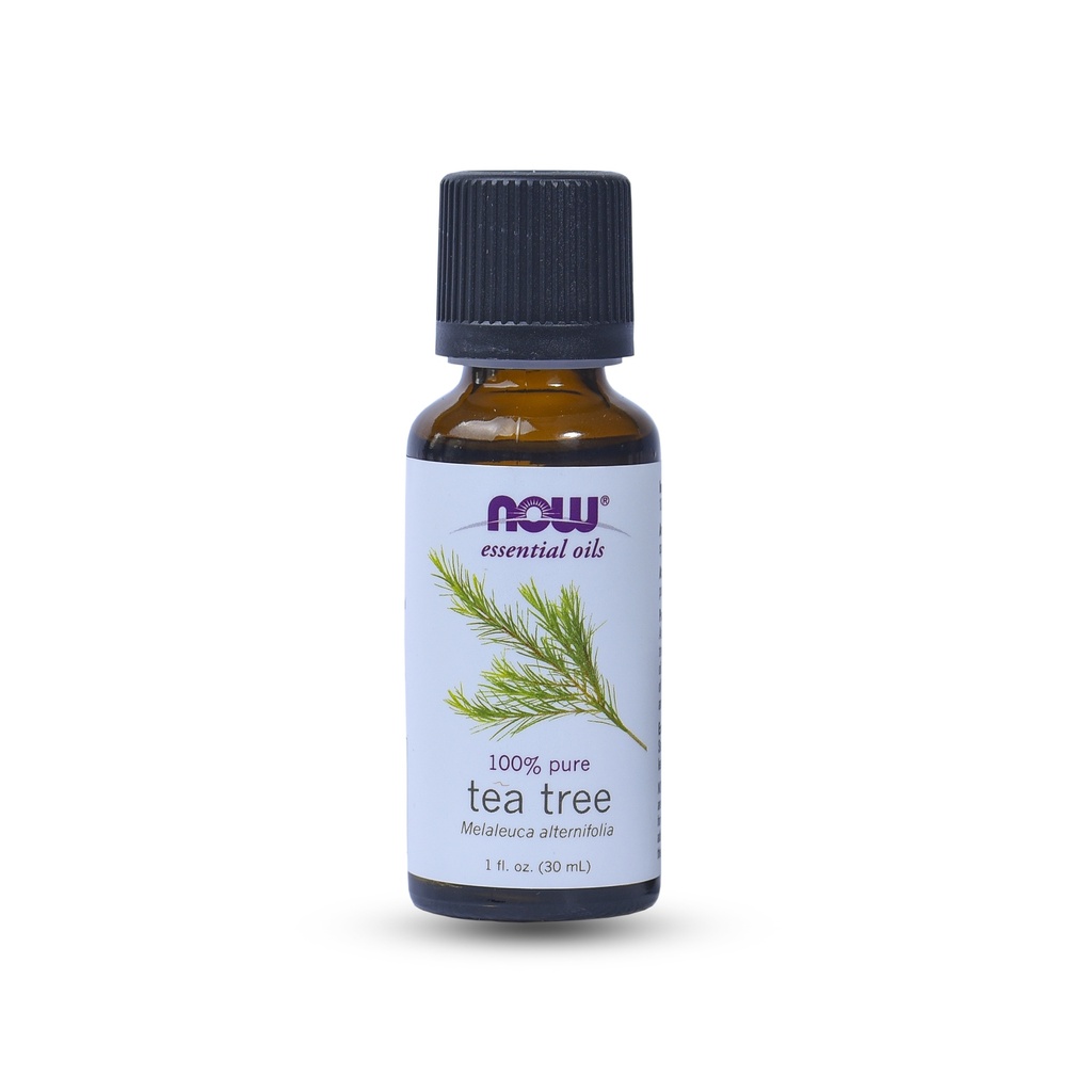 NOW ESSENTIAL OILS 100% PURE TEA TREE 1 OZ