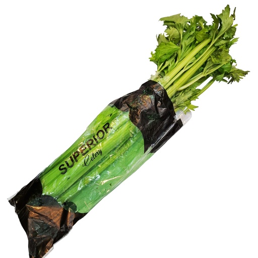 DI-07 FRESH CELERY AUSTRALIA