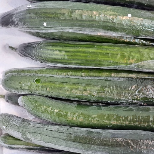 DI-15 FRESH LEBANESE CUCUMBER LONG HOLLAND