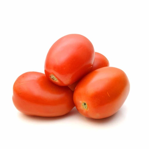 DI-65 ROMA TOMATO OVAL HOLLAND